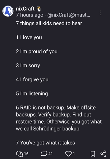 7 things all kids need to hear 

1 I love you 

2 I'm proud of you 

3 I'm sorry 

4 I forgive you 

5 I'm listening 

6 RAID is not backup. Make offsite backups. Verify backup. Find out restore time. Otherwise, you got what we call Schrödinger backup 

7 You've got what it takes