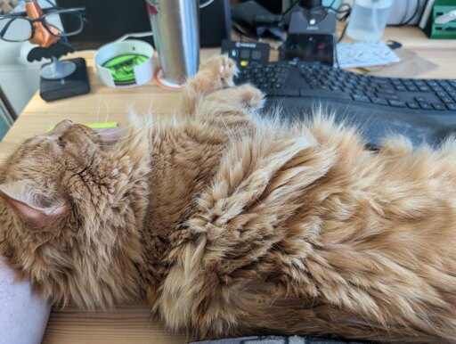 Big orange cat laying in front of my keyboard.