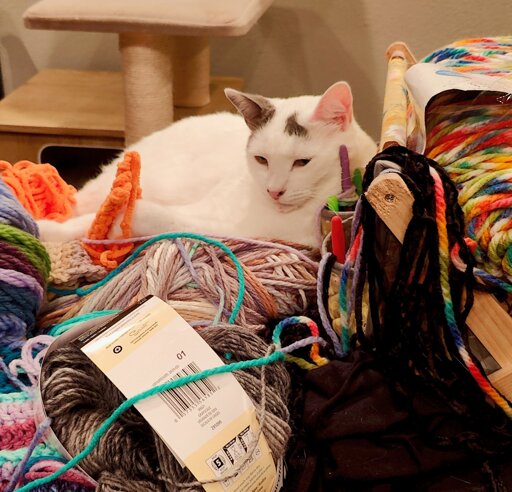 White say laying on yarn and half finished crochet projects